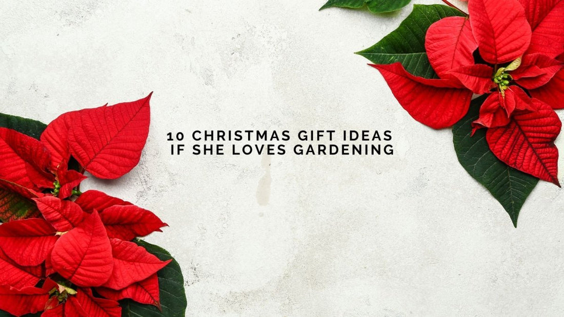 10 Perfect Christmas Gift Ideas for the Woman Who Loves Gardening - DWC Magazine: Strong Women, Strong Voices