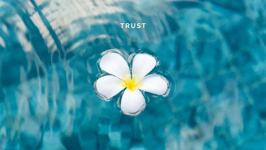 2 January 2025: Trust - DWC Magazine