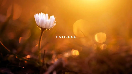 3 January 2025: Patience - DWC Magazine