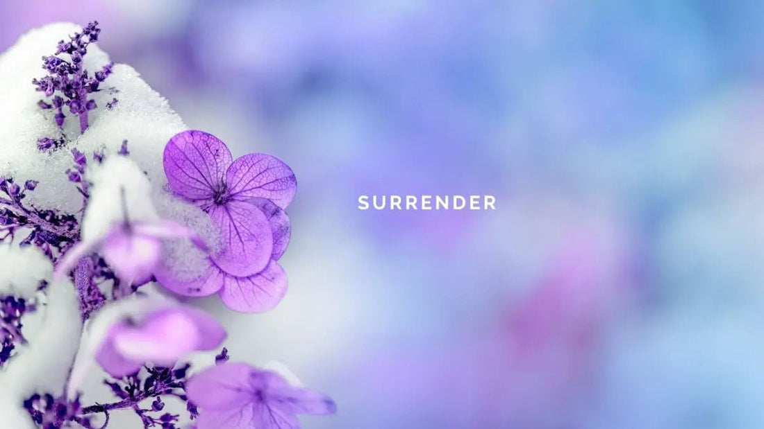 5 January 2025: Surrender - DWC Magazine