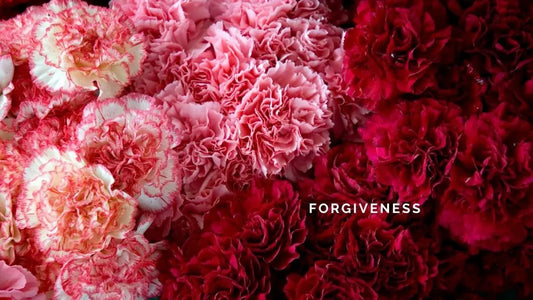 7 January 2025: Forgiveness - DWC Magazine