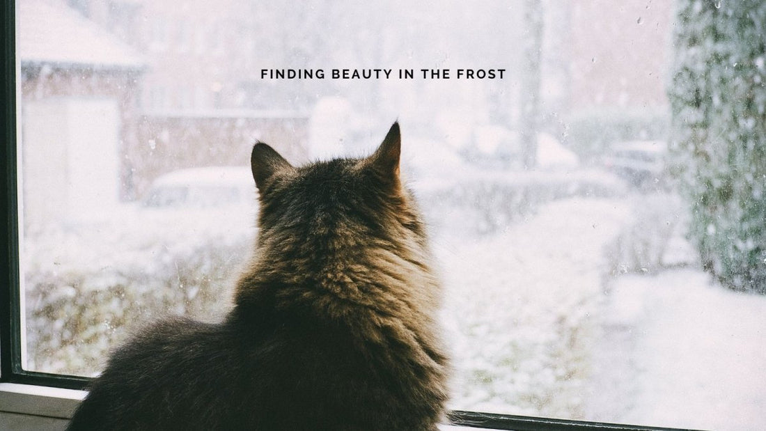 Editorial Update: Finding Beauty in the Frost - DWC Magazine: Strong Women, Strong Voices