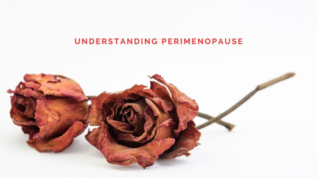 Understanding Perimenopause: A Woman’s Journey Through Change - DWC Magazine