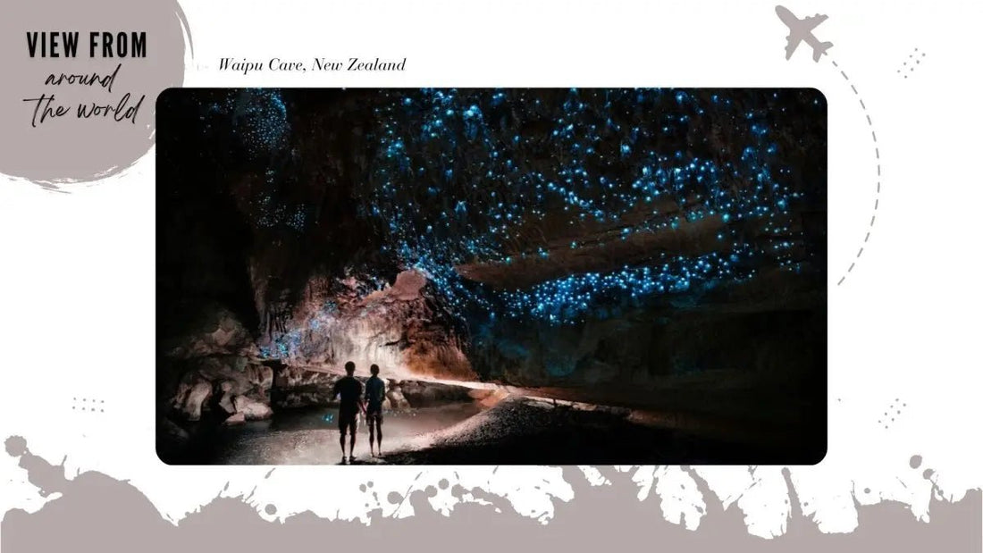 View from Around the World: Waipu Caves Scenic Reserve, New Zealand - DWC Magazine