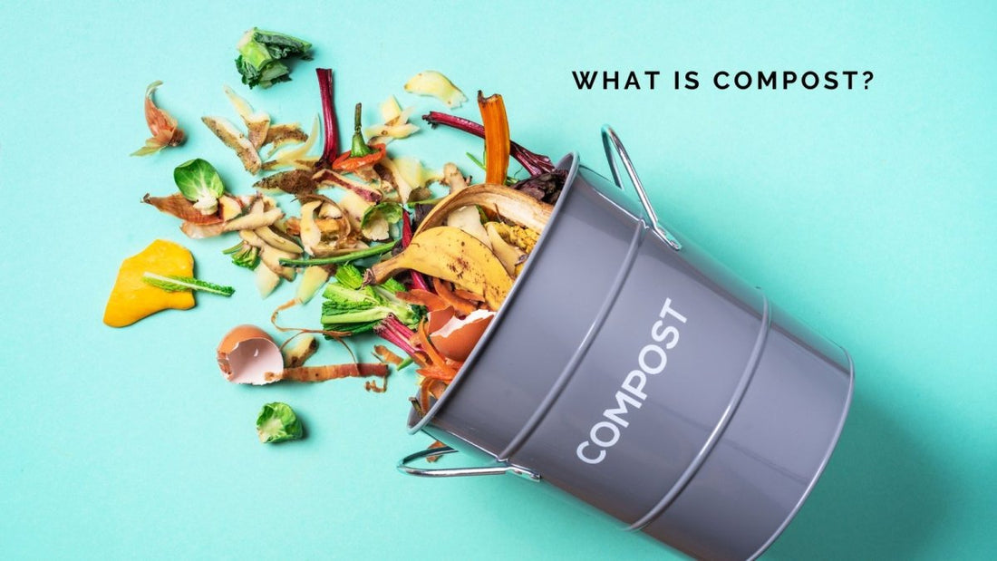 What is Compost? - DWC Magazine